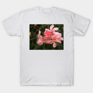 Flowers of the Dominican Republic Pink T-Shirt